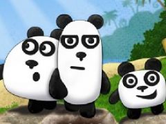 3 Pandas