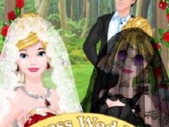Cinderella Wedding Classic or Unusual