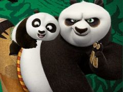 Kung Fu Panda Training Challenge