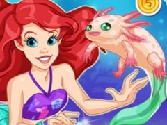 Mermaid Pet Shop