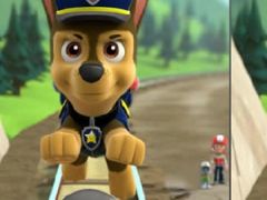 Paw Patrol Chase Differences
