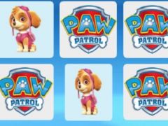 Paw Patrol Rescue Pups