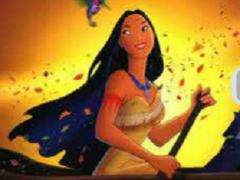 Pocahontas Similarities
