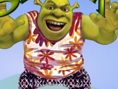 Shrek Dress Up